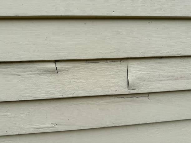 Historical Building Siding Restoration